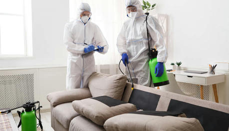 How to Choose a Reliable Pest Control Service From Pricing And Safety To Long Term Protection